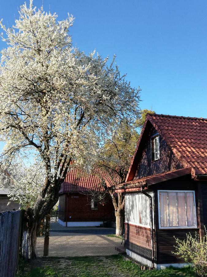 Domek Zapiecek Białowieża المظهر الخارجي الصورة